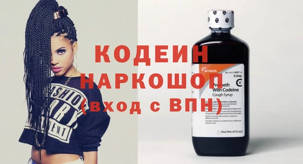 индика Саяногорск