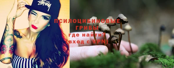 ПСИЛОЦИБИНОВЫЕ ГРИБЫ Абаза