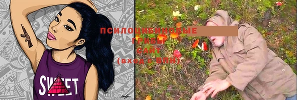 бошки Абдулино