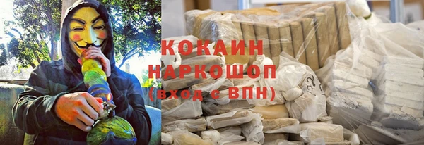 ПСИЛОЦИБИНОВЫЕ ГРИБЫ Абаза