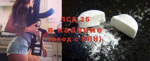 ПСИЛОЦИБИНОВЫЕ ГРИБЫ Абаза