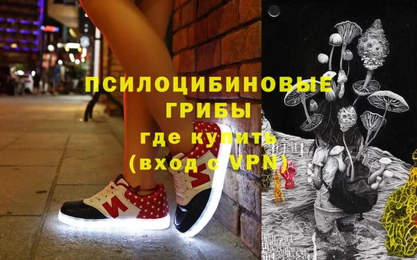 ПСИЛОЦИБИНОВЫЕ ГРИБЫ Абаза
