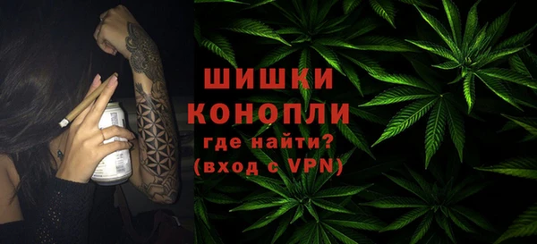 ПСИЛОЦИБИНОВЫЕ ГРИБЫ Абаза