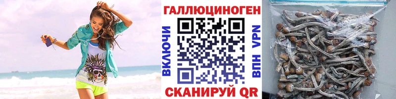 мориарти Telegram  купить   Болохово  Галлюциногенные грибы мицелий 
